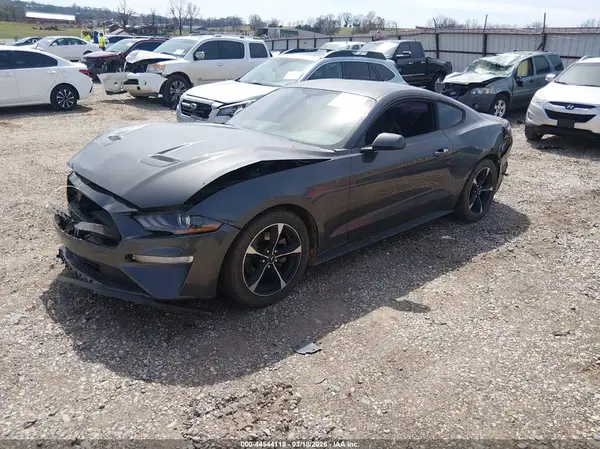 1FA6P8TH5K5175247 2019 FORD MUSTANG - Image 2