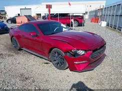 1FA6P8TH5K5180447 2019 FORD MUSTANG
