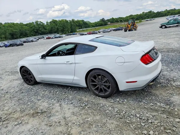 1FA6P8TH5K5184532 2019 FORD MUSTANG - Image 2