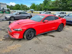 1FA6P8TH5K5186443 2019 FORD MUSTANG