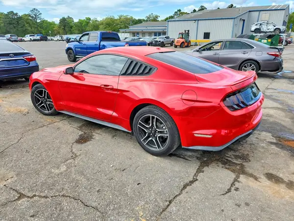 1FA6P8TH5K5186443 2019 FORD MUSTANG - Image 2