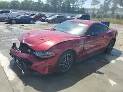 1FA6P8TH5K5187303 2019 FORD MUSTANG
