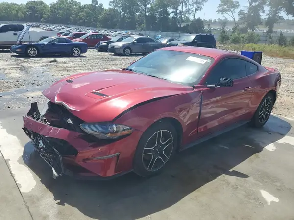 1FA6P8TH5K5187303 2019 FORD MUSTANG - Image 1