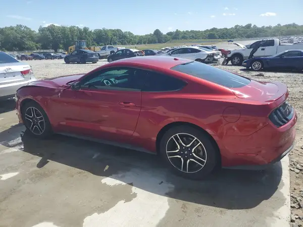 1FA6P8TH5K5187303 2019 FORD MUSTANG - Image 2