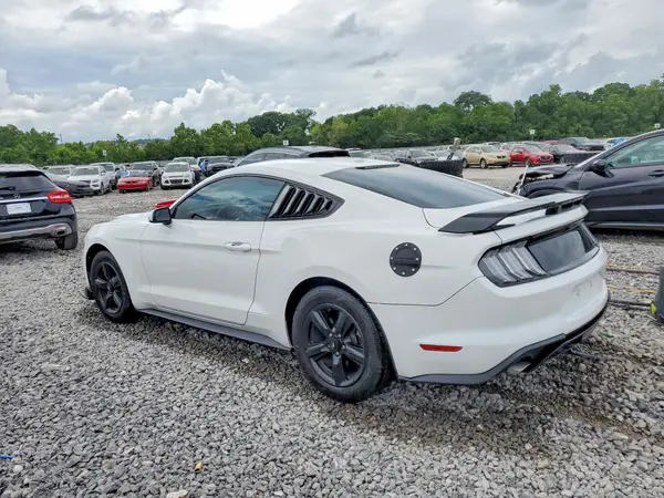 1FA6P8TH5K5187365 2019 FORD MUSTANG - Image 2