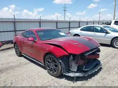 1FA6P8TH5K5189519 2019 FORD MUSTANG
