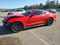 1FA6P8TH5K5194218 2019 FORD MUSTANG