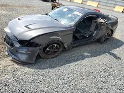 1FA6P8TH5K5195367 2019 FORD MUSTANG