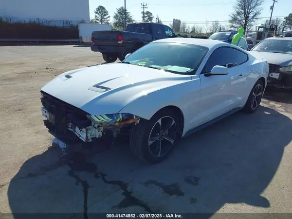 1FA6P8TH5K5195384 2019 FORD MUSTANG - Image 2