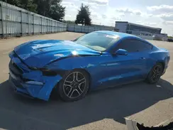 1FA6P8TH5K5195935 2019 FORD MUSTANG