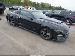 1FA6P8TH5K5196535 2019 FORD MUSTANG