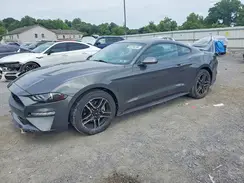 1FA6P8TH5K5197281 2019 FORD MUSTANG