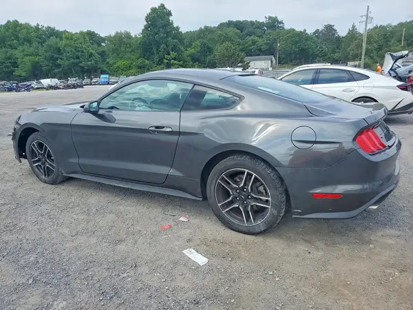 1FA6P8TH5K5197281 2019 FORD MUSTANG - Image 2