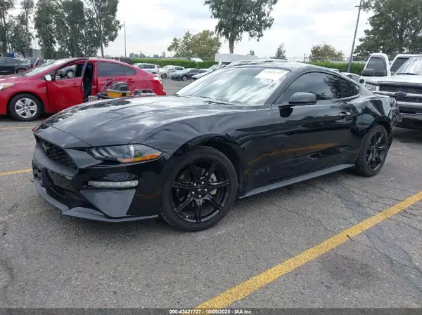 1FA6P8TH5K5203533 2019 FORD MUSTANG - Image 2
