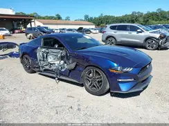 1FA6P8TH5K5203712 2019 FORD MUSTANG