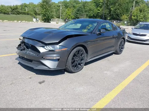 1FA6P8TH5K5205380 2019 FORD MUSTANG - Image 2