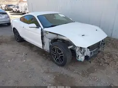 1FA6P8TH5L5101053 2020 FORD MUSTANG