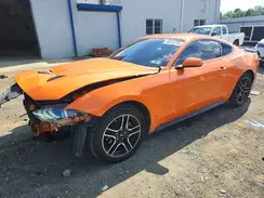 1FA6P8TH5L5170597 2020 FORD MUSTANG