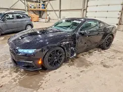 1FA6P8TH5R5104074 2024 FORD MUSTANG