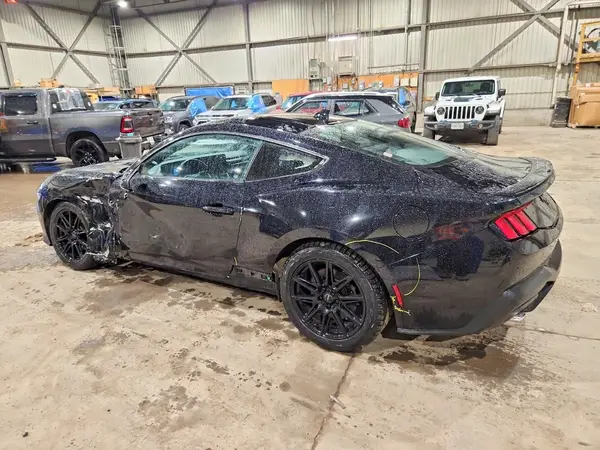 1FA6P8TH5R5104074 2024 FORD MUSTANG - Image 2