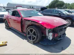 1FA6P8TH5R5104477 2024 FORD MUSTANG