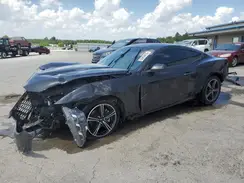 1FA6P8TH5R5105094 2024 FORD MUSTANG