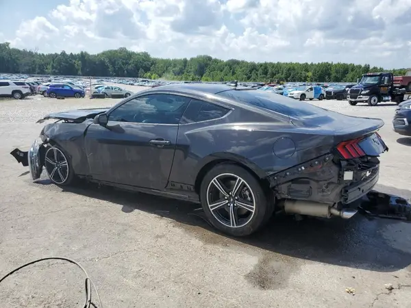 1FA6P8TH5R5105094 2024 FORD MUSTANG - Image 2