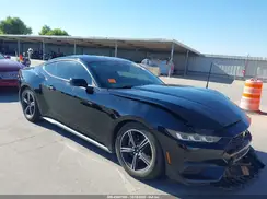 1FA6P8TH5R5105239 2024 FORD MUSTANG