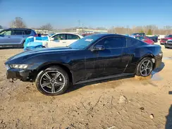 1FA6P8TH5R5105337 2024 FORD MUSTANG