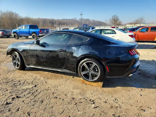 1FA6P8TH5R5105337 2024 FORD MUSTANG - Image 2