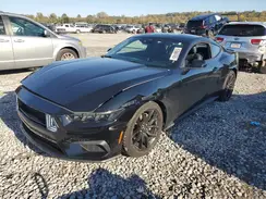 1FA6P8TH5R5105516 2024 FORD MUSTANG