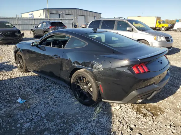 1FA6P8TH5R5105516 2024 FORD MUSTANG - Image 2