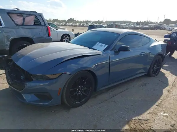 1FA6P8TH5R5106276 2024 FORD MUSTANG - Image 2