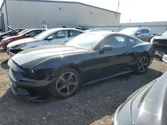 1FA6P8TH5R5107301 2024 FORD MUSTANG