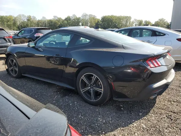 1FA6P8TH5R5107301 2024 FORD MUSTANG - Image 2