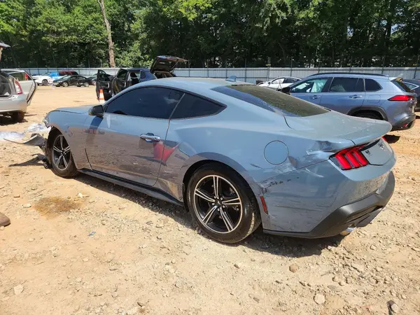 1FA6P8TH5R5111686 2024 FORD MUSTANG - Image 2