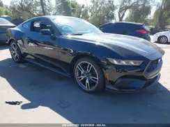 1FA6P8TH5R5113972 2024 FORD MUSTANG