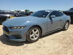 1FA6P8TH5R5118427 2024 FORD MUSTANG