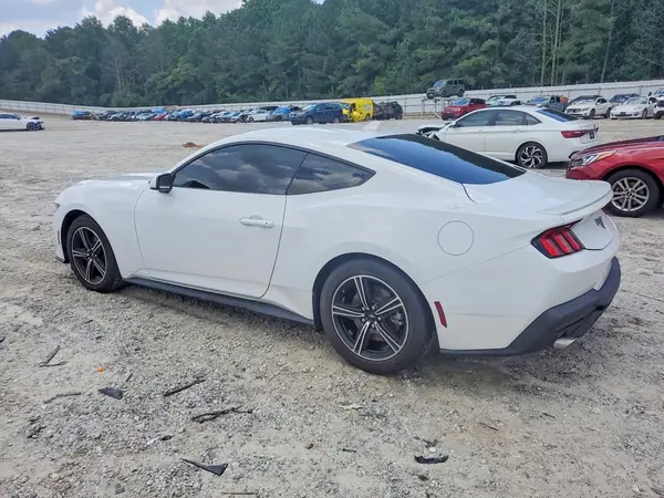 1FA6P8TH5R5120954 2024 FORD MUSTANG - Image 2