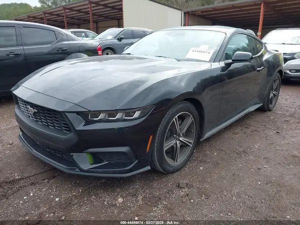 1FA6P8TH5R5125085 2024 FORD MUSTANG - Image 2