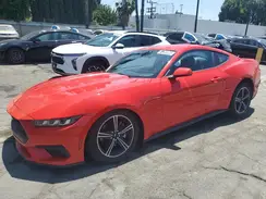 1FA6P8TH5R5133459 2024 FORD MUSTANG