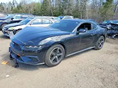1FA6P8TH5R5134045 2024 FORD MUSTANG