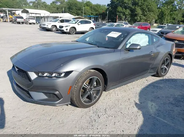 1FA6P8TH5R5135812 2024 FORD MUSTANG - Image 2