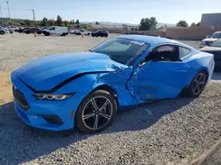 1FA6P8TH5R5137219 2024 FORD MUSTANG