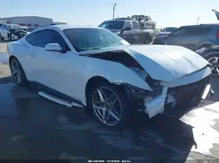1FA6P8TH5R5137656 2024 FORD MUSTANG