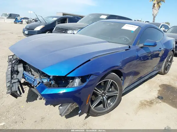 1FA6P8TH5R5146776 2024 FORD MUSTANG - Image 2