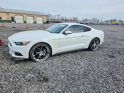 1FA6P8TH6G5229663 2016 FORD MUSTANG