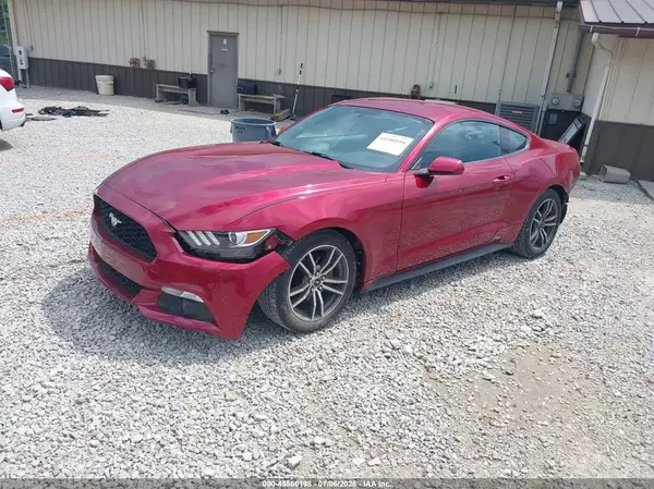 1FA6P8TH6G5241537 2016 FORD MUSTANG - Image 2