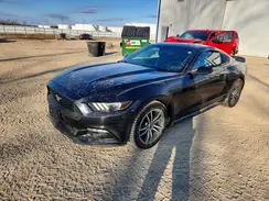 1FA6P8TH6G5304989 2016 FORD MUSTANG