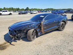 1FA6P8TH6H5201816 2017 FORD MUSTANG
